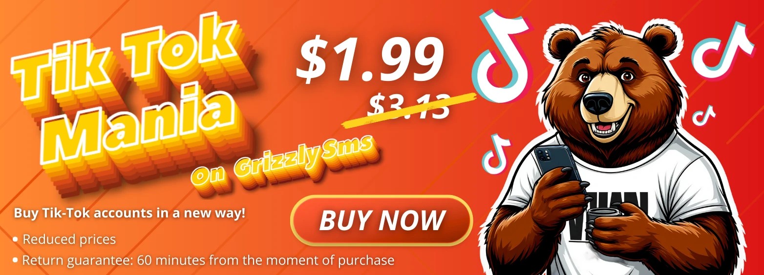 TikTok Mania Promotion